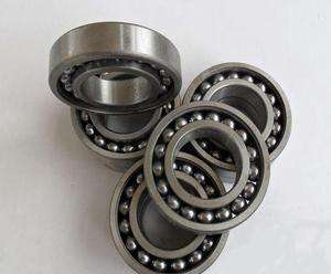 Advanced 306TN-Z Bearing